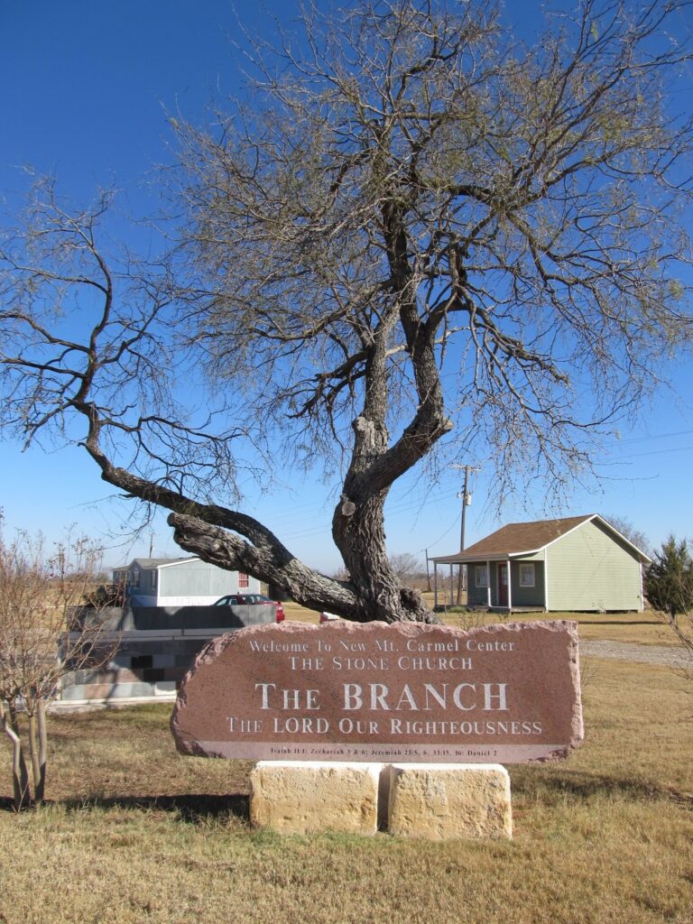 The Branch