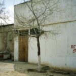 The State Museum of Kalmykia: it was closed.